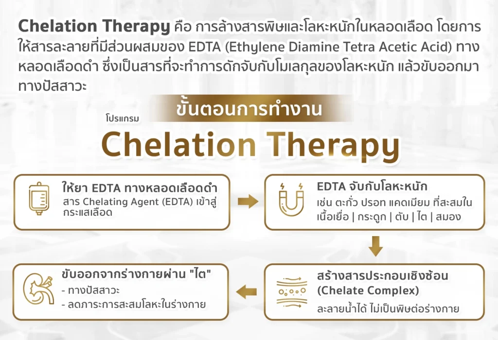 อินโฟกราฟิกแสดงขั้นตอนการทำ Chelation Therapy และกระบวนการขับ โลหะหนัก ออกจากร่างกาย
